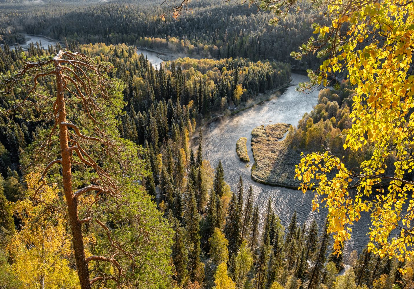 Metsäjajoki Metsäjajoki